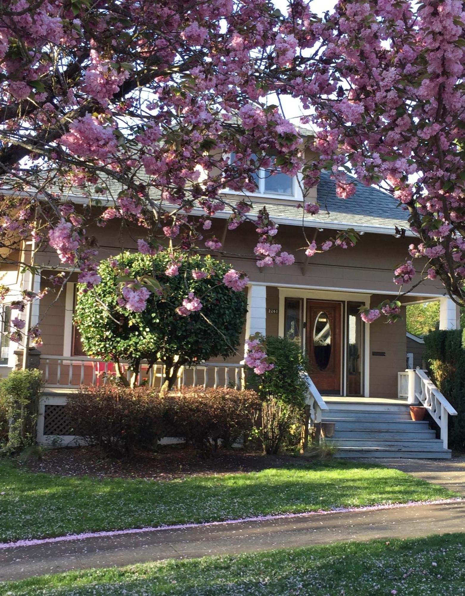 Casa de Férias Southeast Comfy & Eclectic Craftsman *