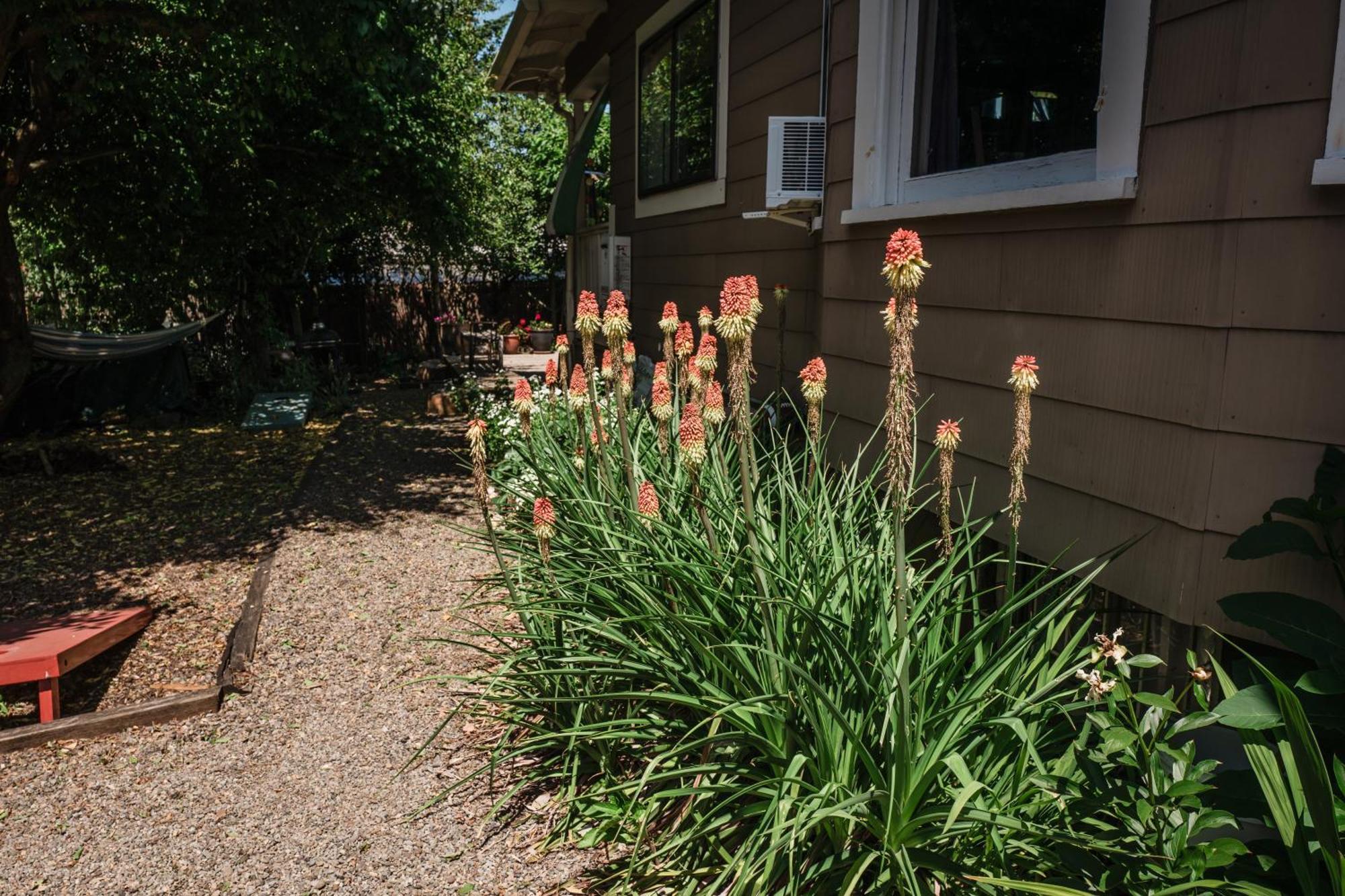 Ferienhaus Southeast Comfy & Eclectic Craftsman Portland